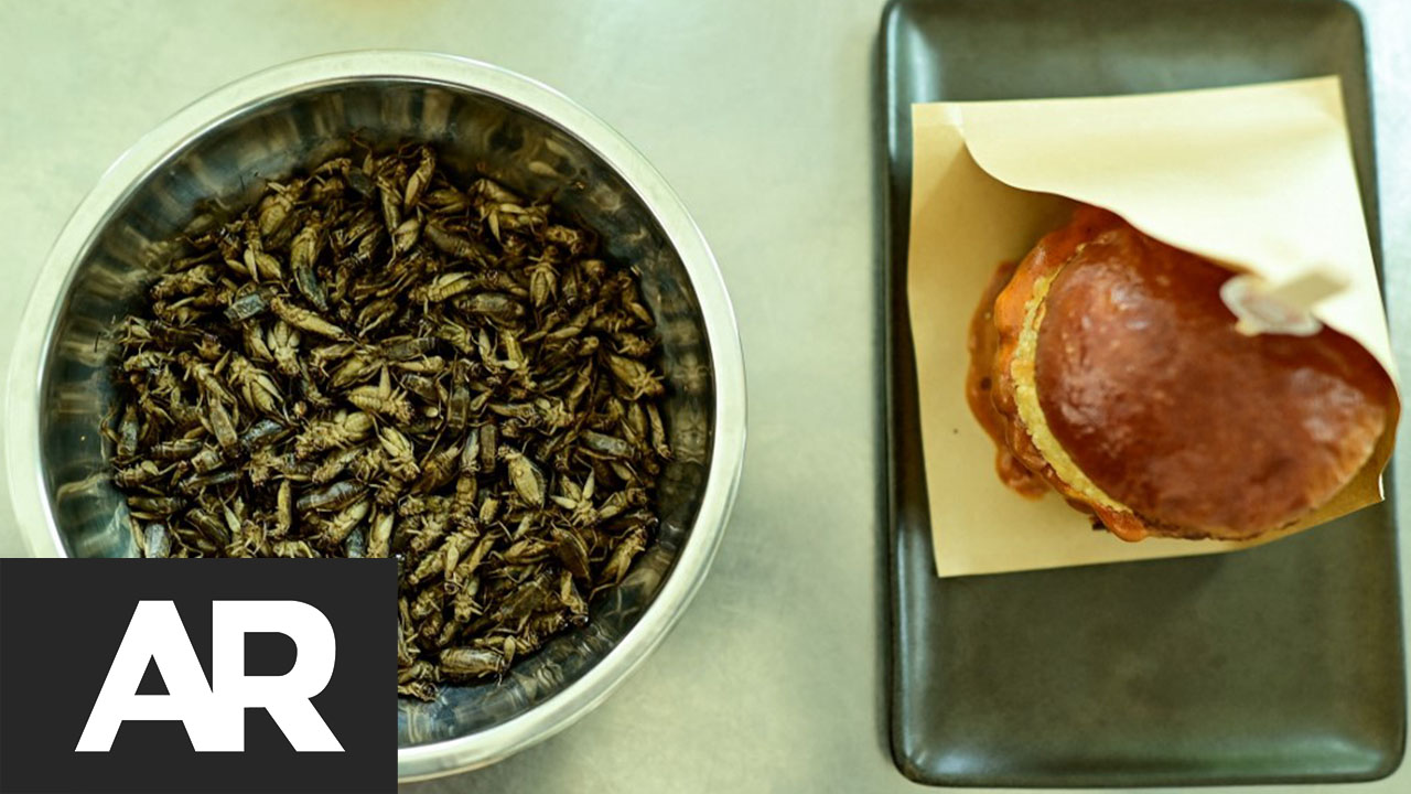 ¿Hamburguesa de grillo? Insectos ganan adeptos como comida saludable y sostenible en Tailandia