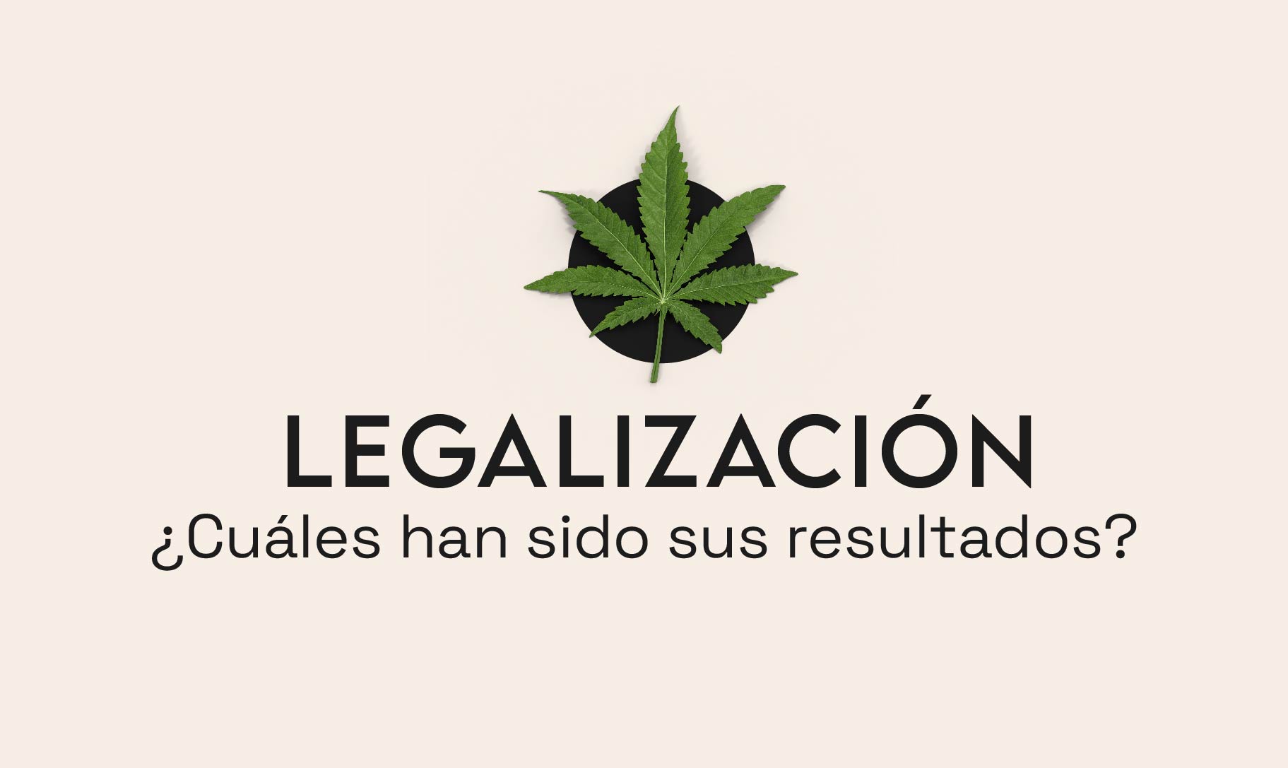 Legalización De La Marihuana En El Mundo ¿cuáles Han Sido Sus Resultados 0792