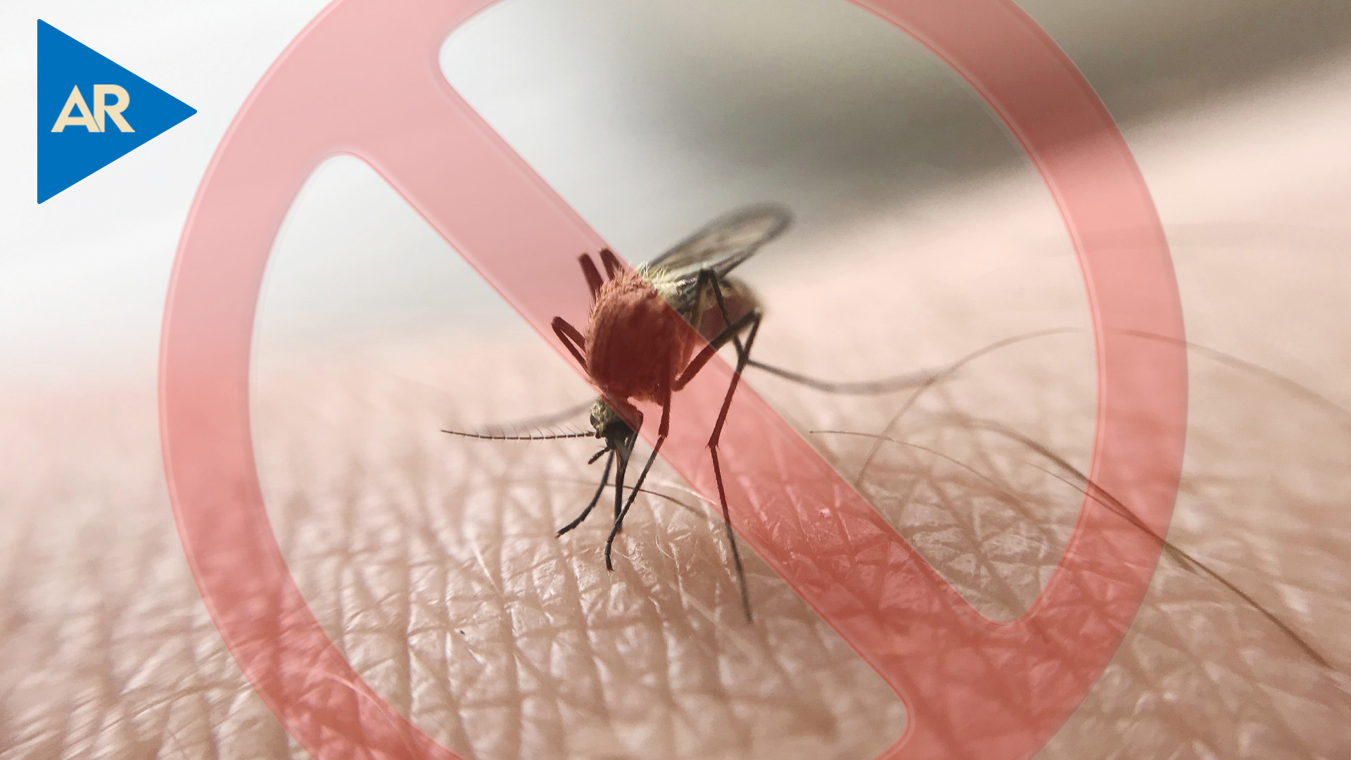 ¿Podrá Costa Rica eliminar la malaria para 2025?