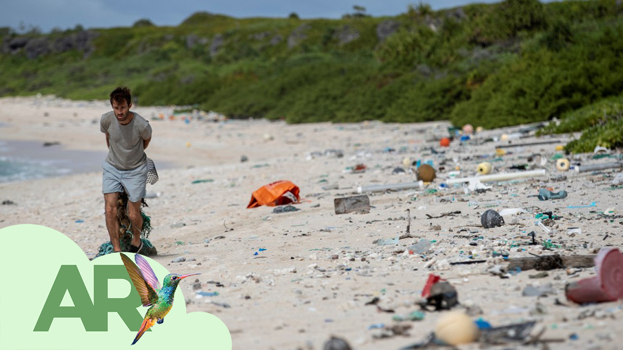 Isla Henderson: El paraíso convertido en basura