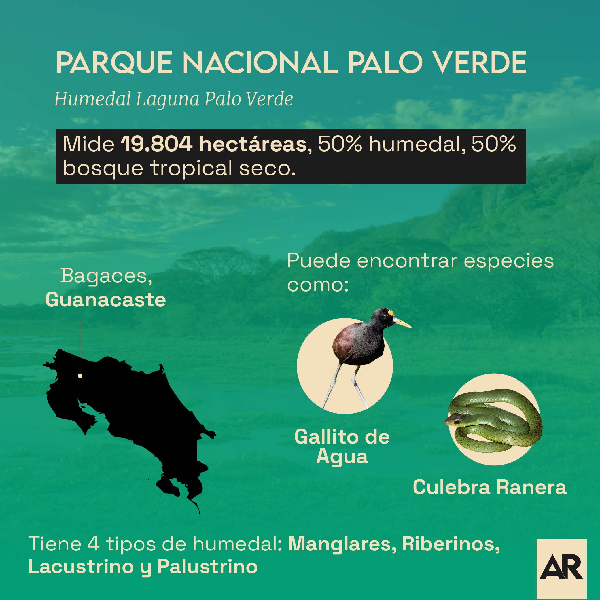 Parque Nacional Palo Verde