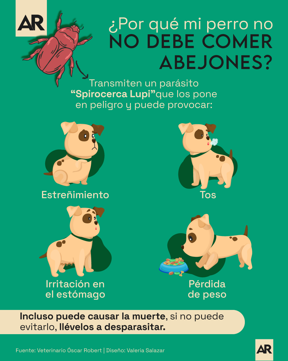 Abejones,Mascotas,Perros,No debe,Comer,Mayo