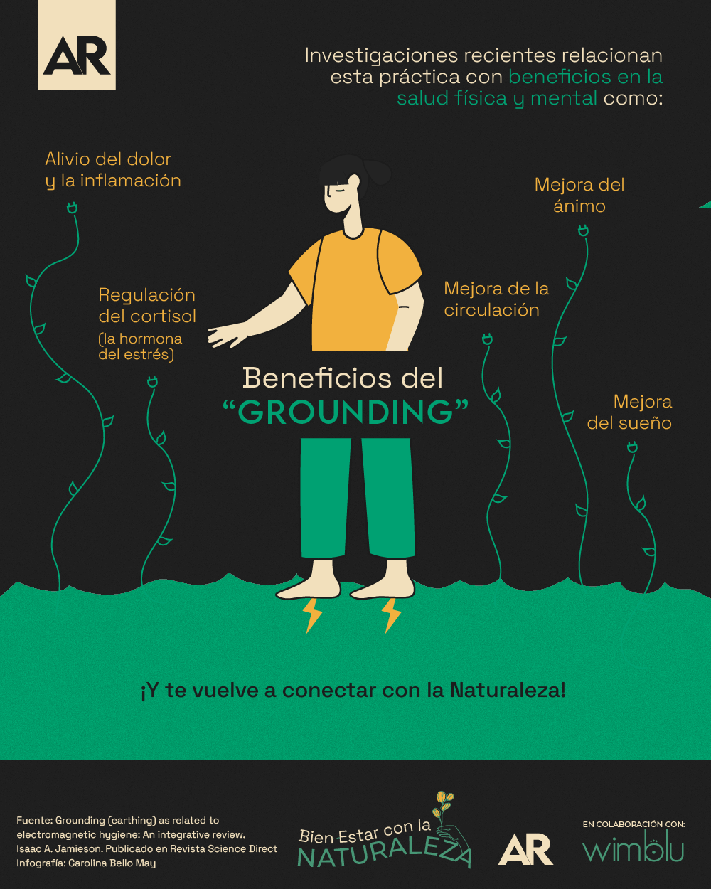ambiente,tierra,grounding