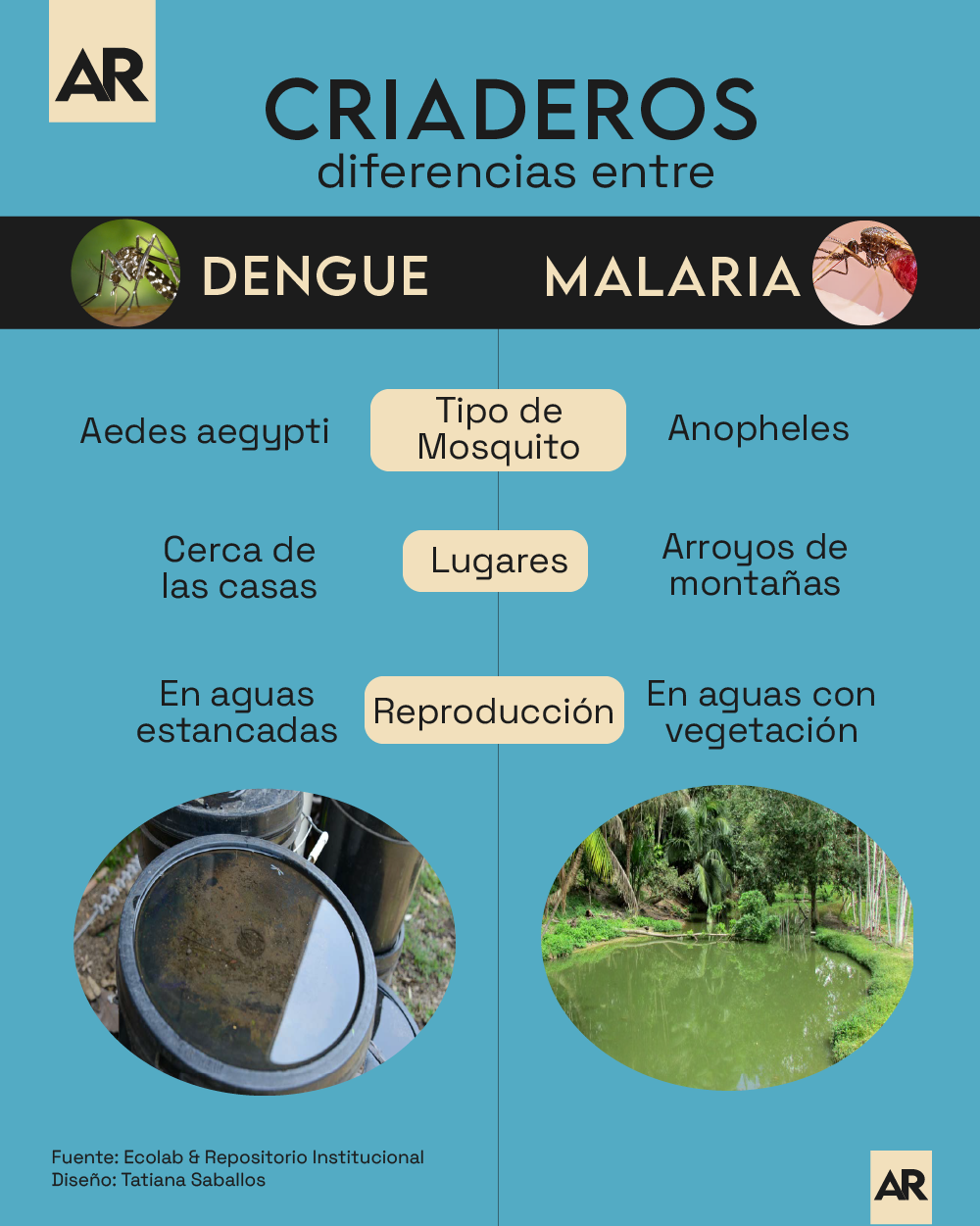 Criaderos,malaria,dengue,diferencias,infografia,noticias,Costa Rica