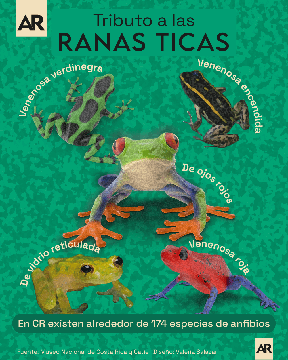 Ranas,Anfibios,Costa Rica,Especies