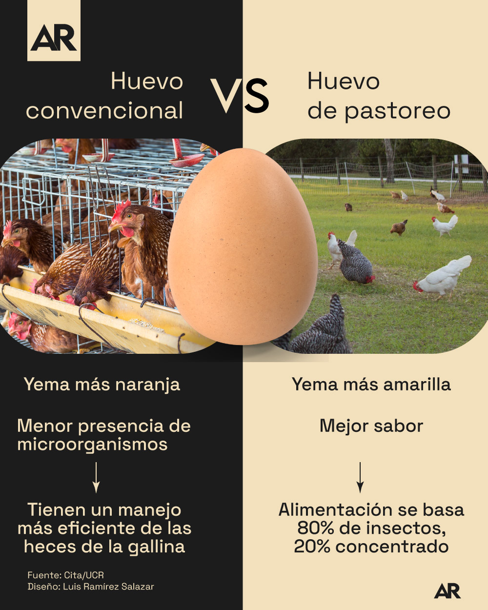 Huevo,diferencias,pastoreo,convencional