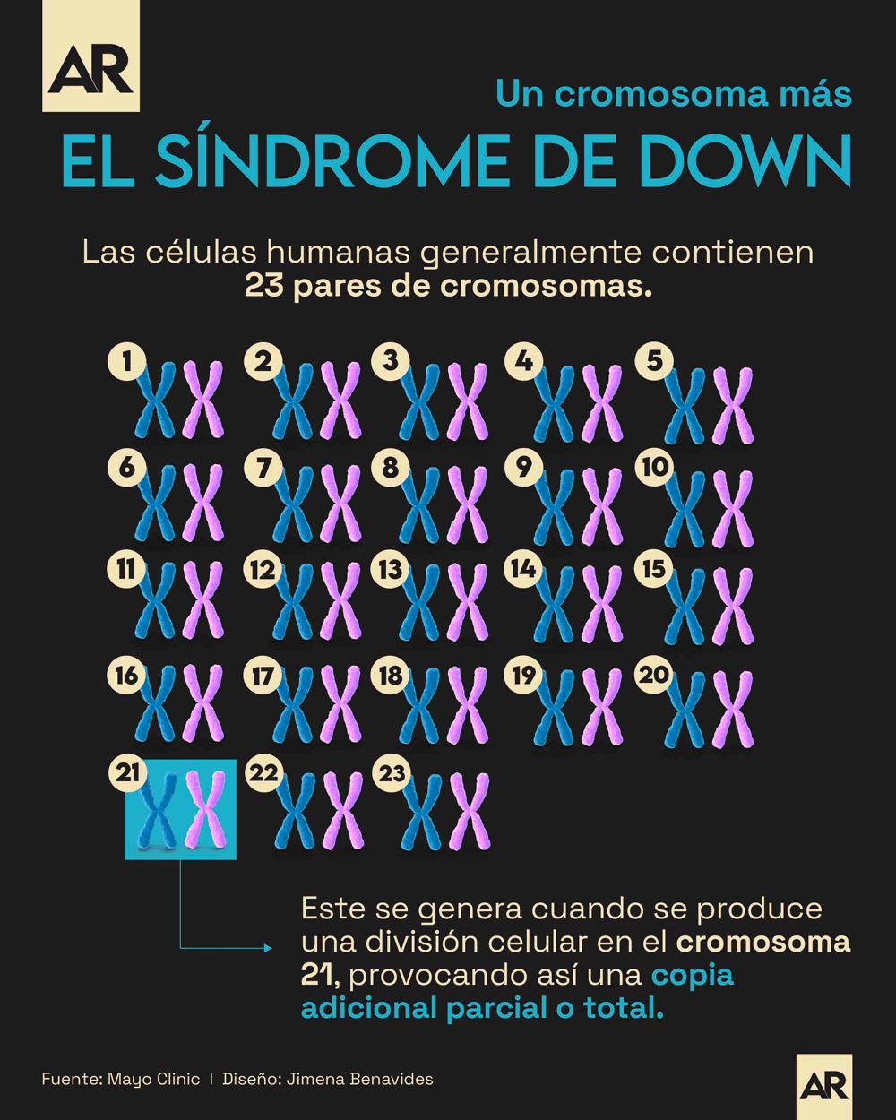 Síndrome de down,Cromosoma,Informativo