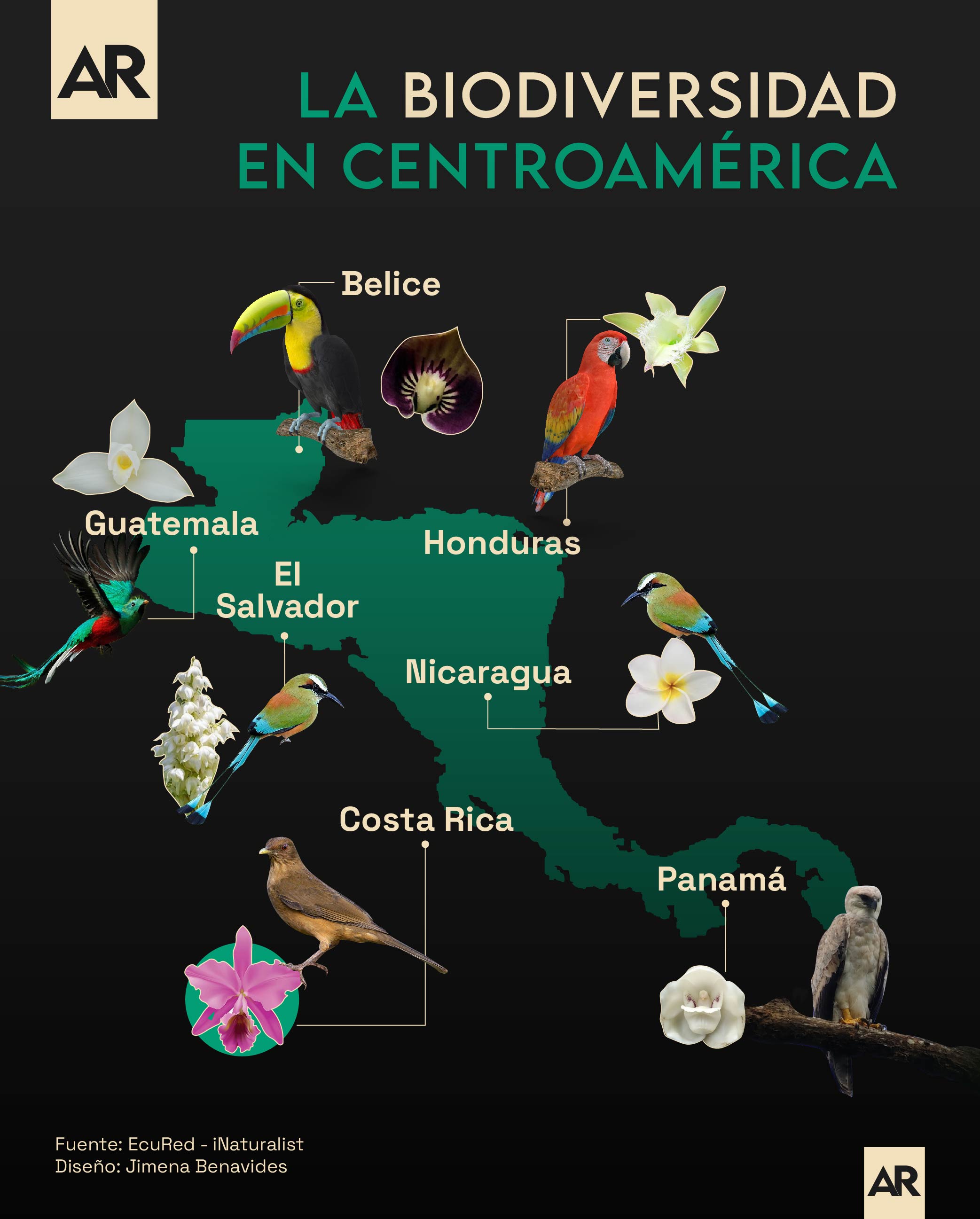 Biodiversidad,Centroamérica,Ave nacional,Flor nacional,Internacional,Medio ambiente