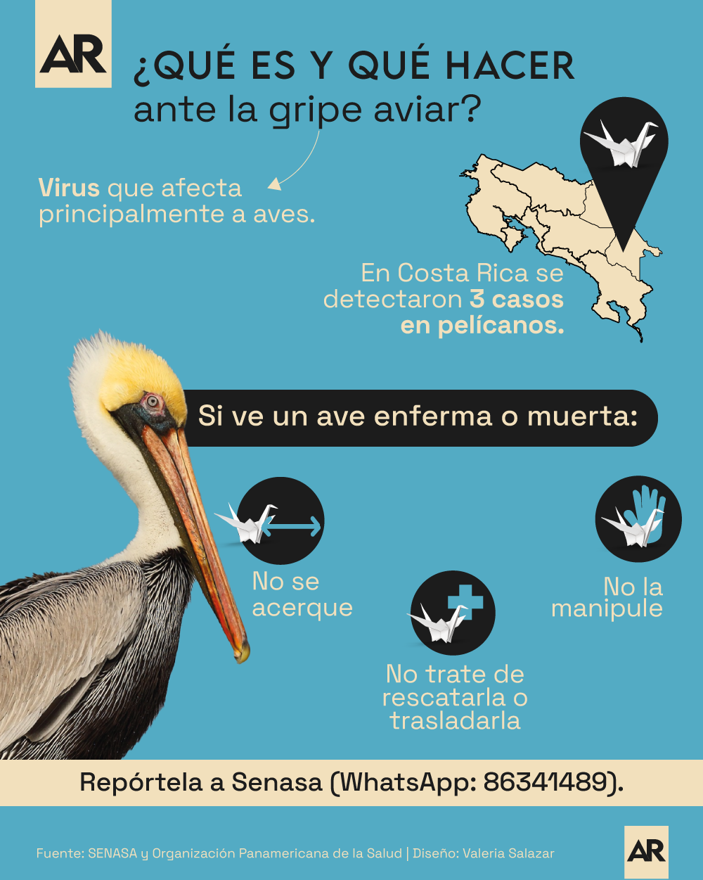Influenza,Virus,Aves,CostaRica