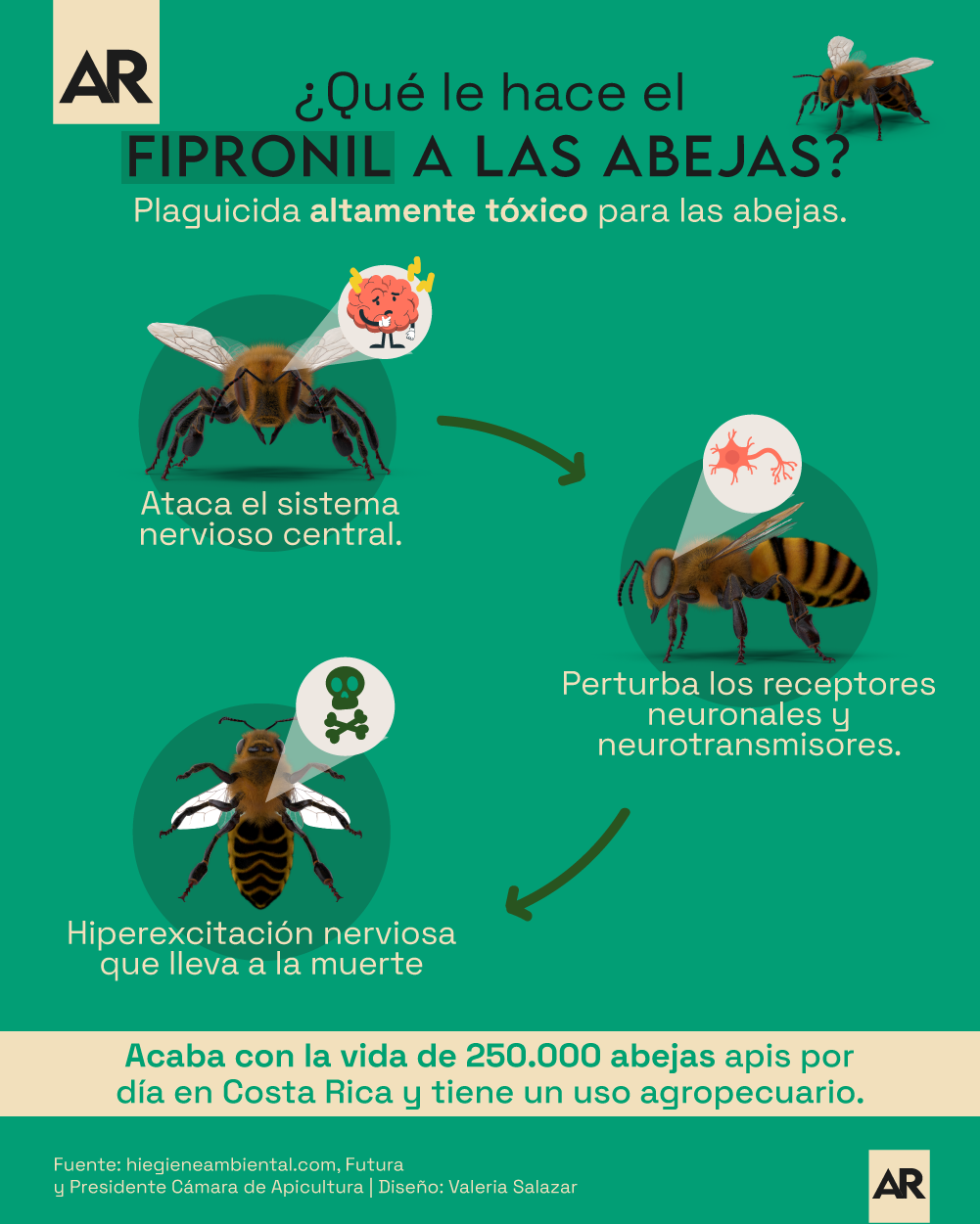 Fipronil,Abejas,Plaguicida,Muerte abejas