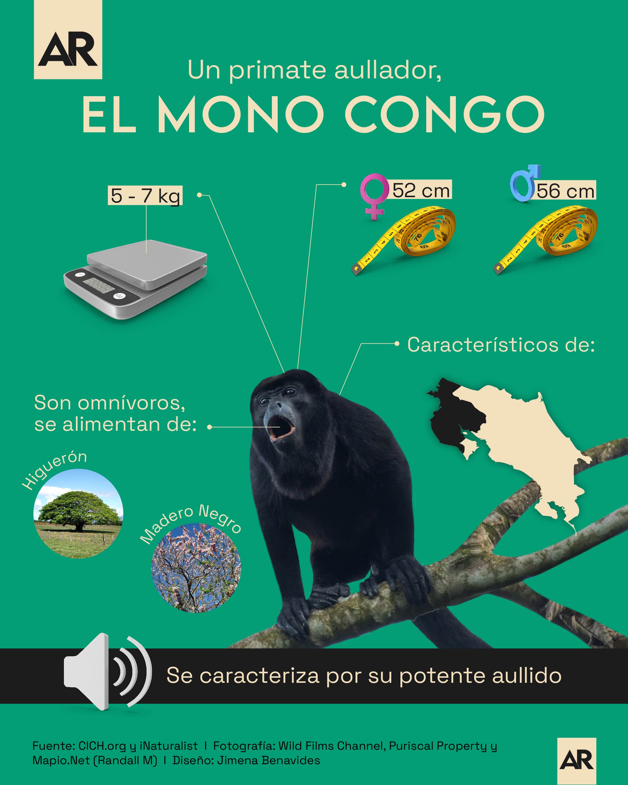 Congo,Mono,Informativo,Fauna