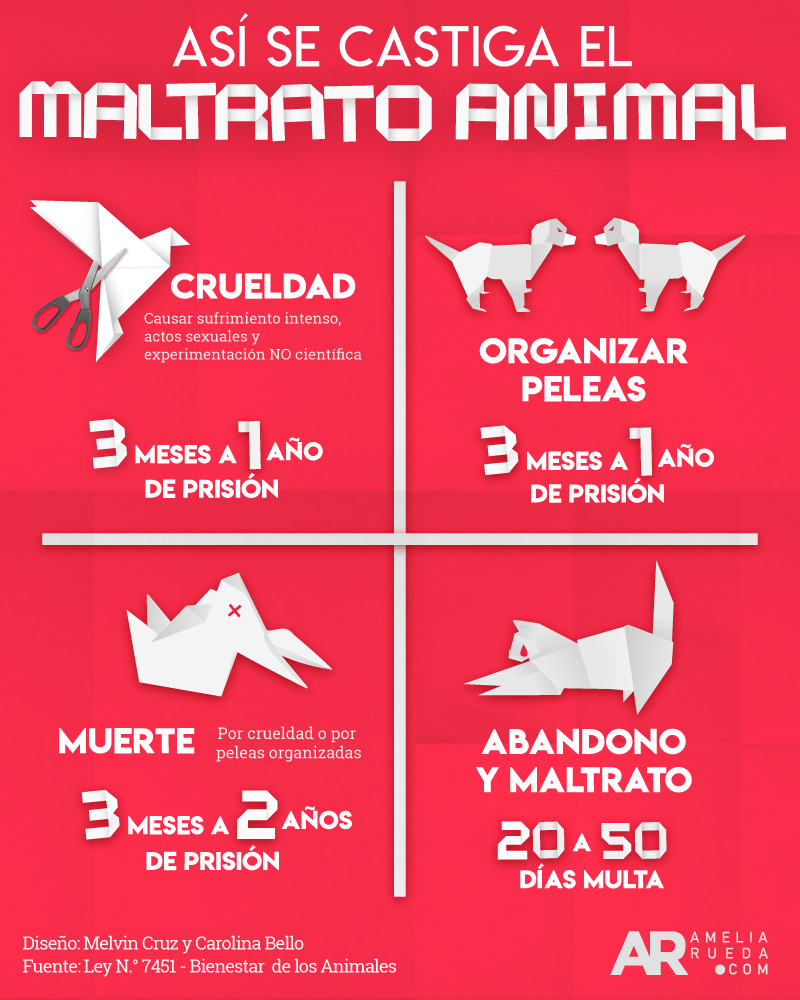 Maltrato animal,animales,justicia