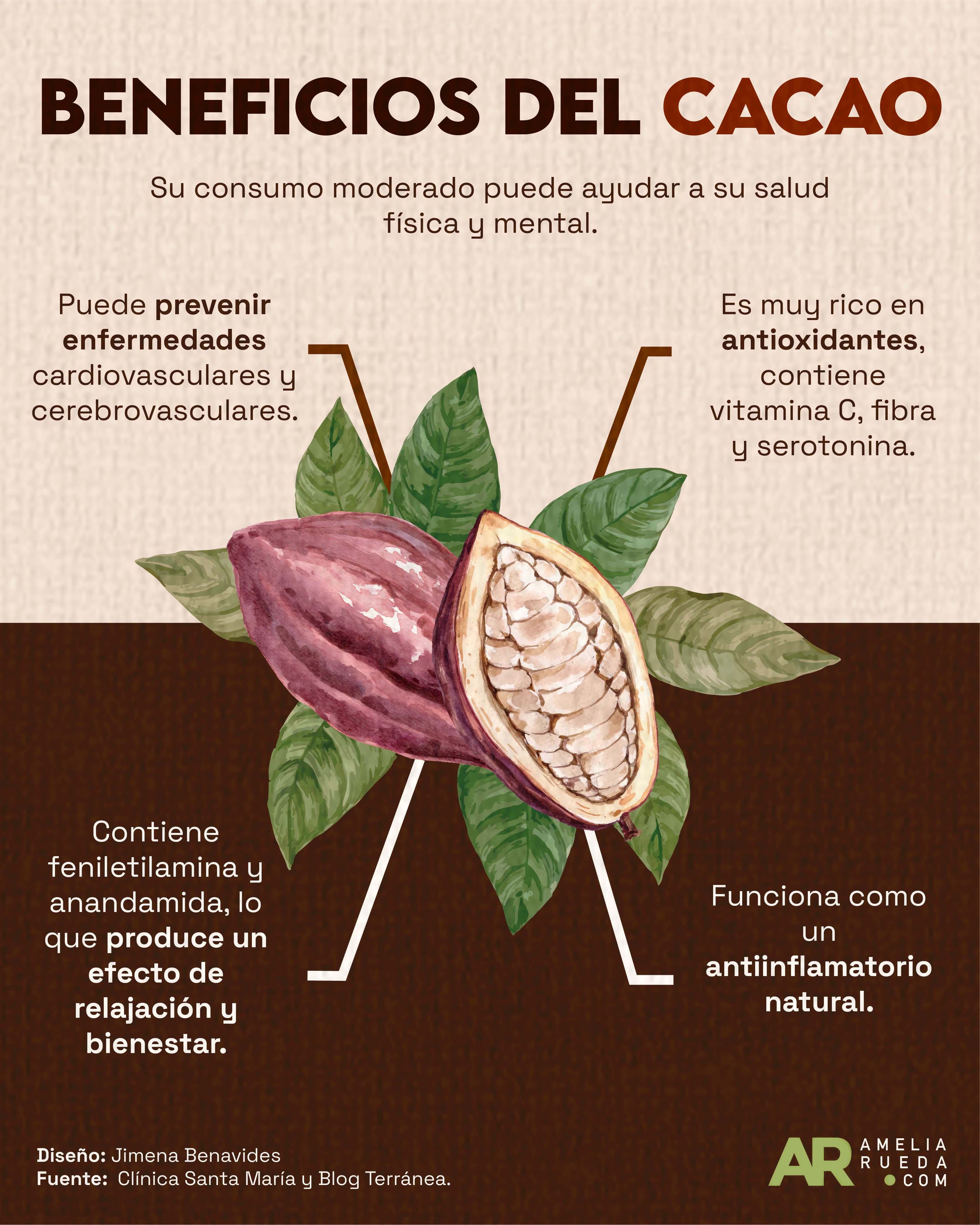 Beneficios Del Cacao