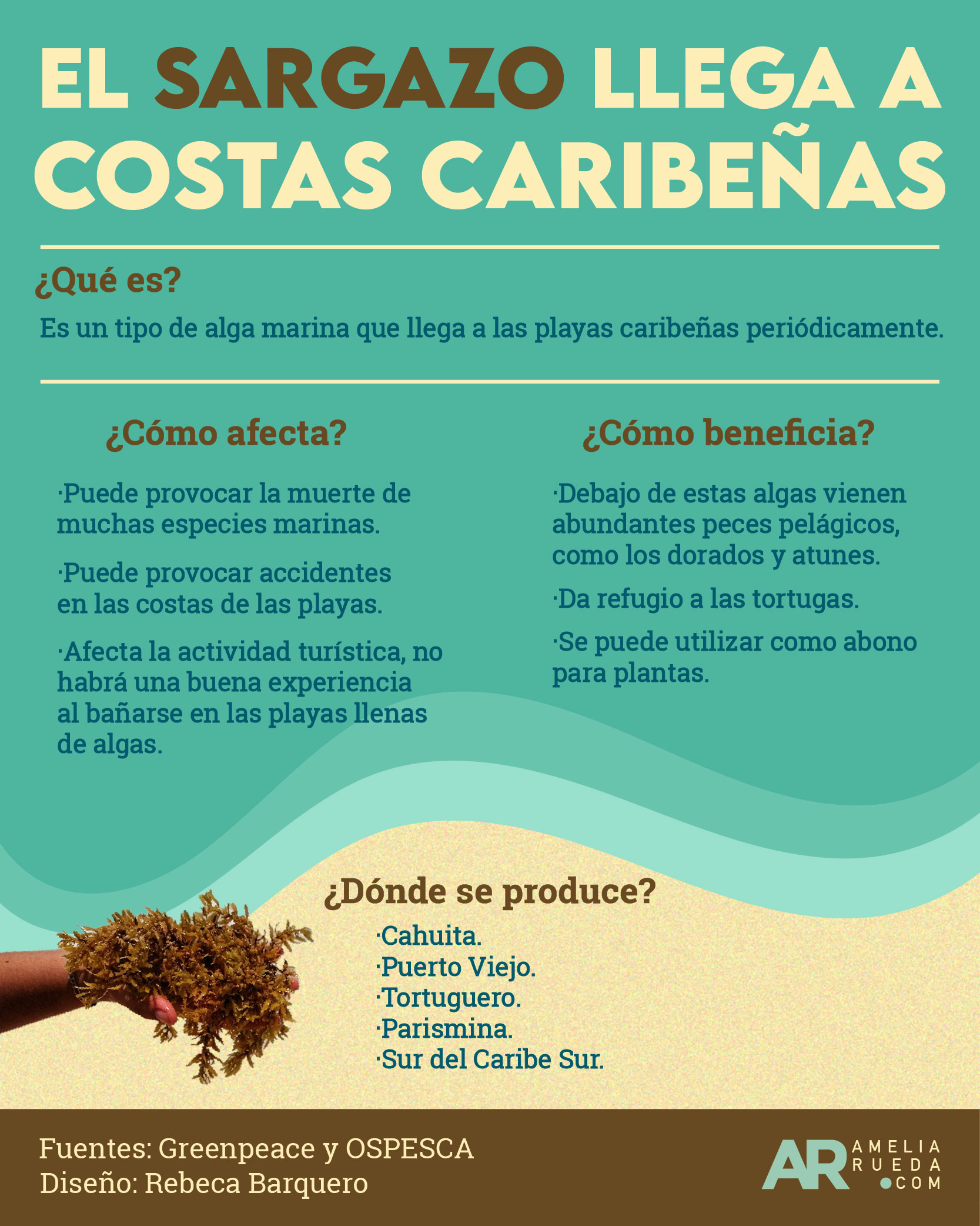 Sargazo,Caribe