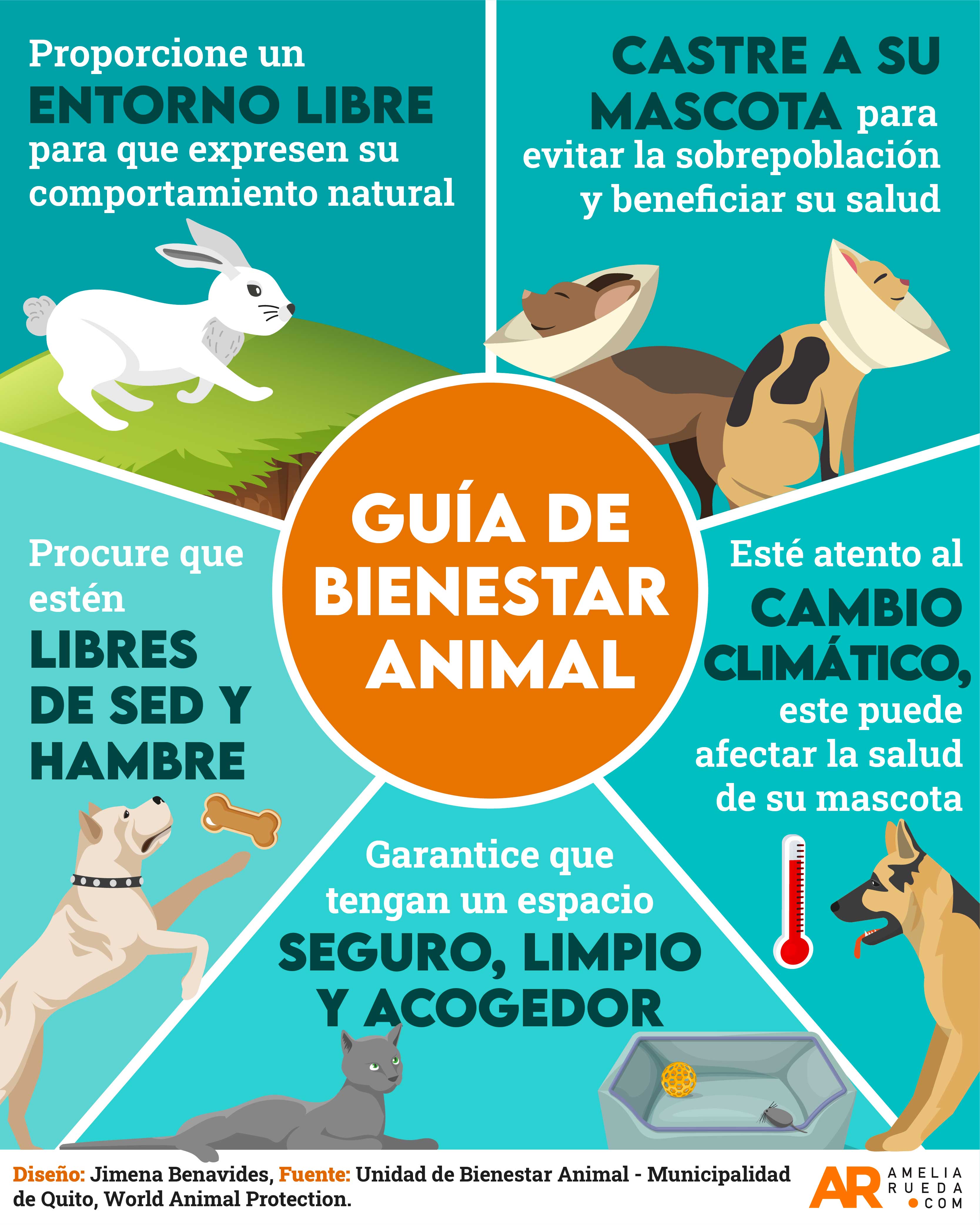 Bienestar animal,animales