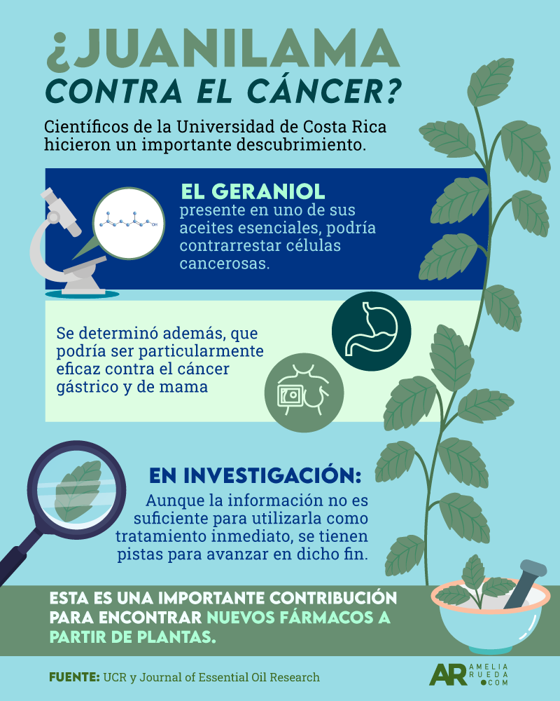Juanilama contra el cáncer