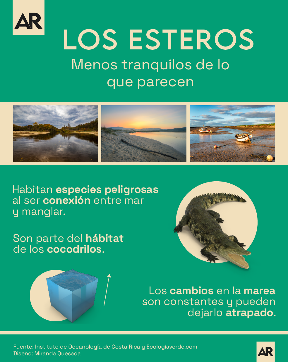 Esteros,Peligro,Marea,Cocodrilos,Playa,Mar,prevención