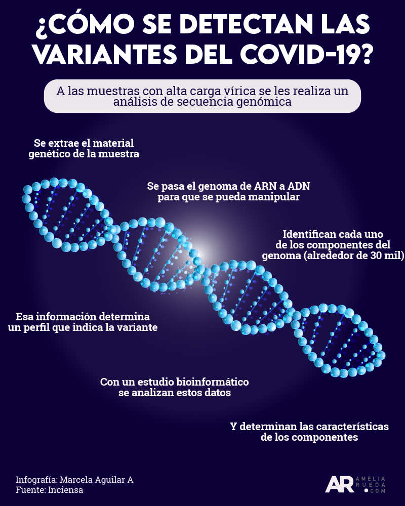 Conozca cómo se detectan las variantes del covid-19.