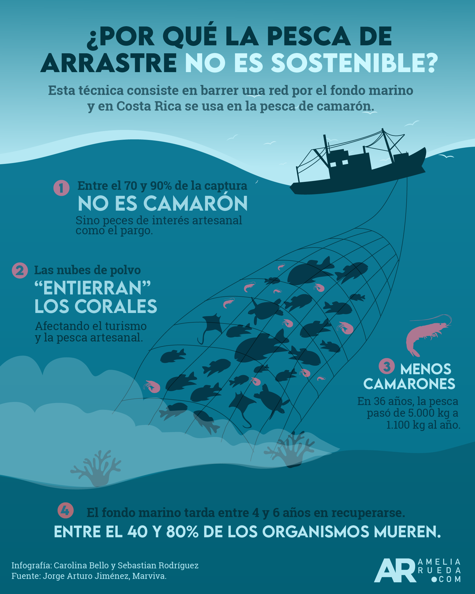 ¿Por qué la pesca de arrastre no es sostenible?