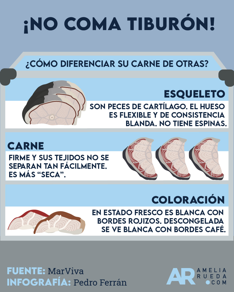 carne,tiburón,conservación