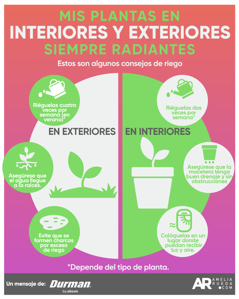 durman,plantas,agua