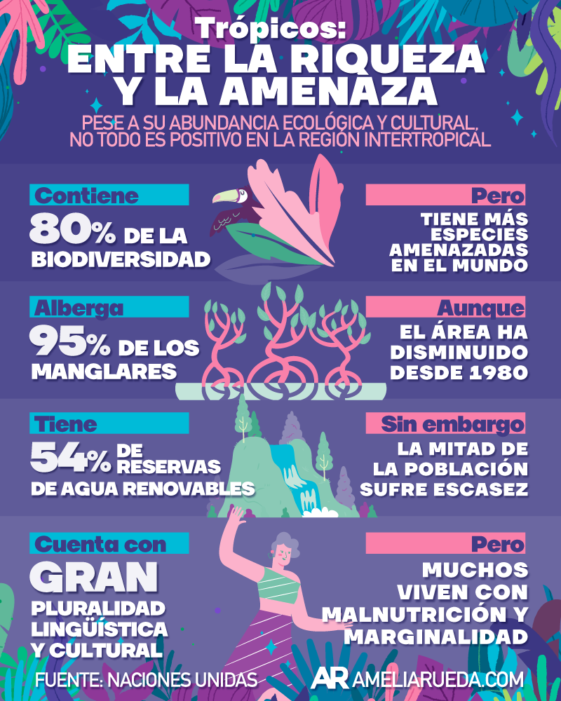 [{"value":"manglares"},{"value":"ecología"},{"value":"tropico"},{"value":"amenaza"},{"value":"cambio climático"},{"value":"cultura"}]