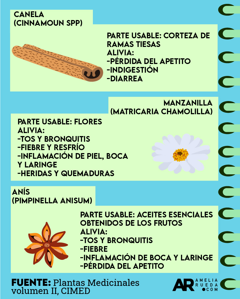 Herbario medicinal